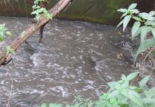 Зенцевый ручей в Мариуполе превратился в вонючую сточную канаву — вода попадает в море, — ВИДЕО