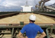 Аналитики ISW рассказали, как Россия наносит удары по обходным маршрутам вывоза зерна.