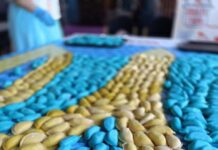 Мариупольцы присоединились к установке двух рекордов Украины в Днепре, — ФОТО