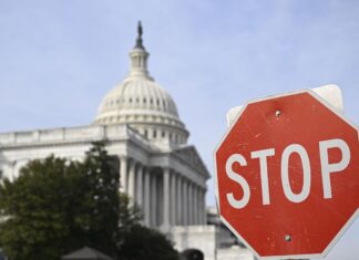 Достаточно ли просто притормозить перед знаком STOP: что требуют ПДД