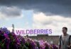 Украина вывела из строя 7 из 10 крупнейших центров Wildberries, — Минобороны