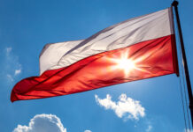 У Польщі підозрюють причетність російських спецслужб до підпалу станції Starlink