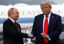 Зеленський розповів, що казав Трампу про можливість зустрічі з Путіним на G20 у Маямі