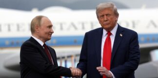 Зеленський розповів, що казав Трампу про можливість зустрічі з Путіним на G20 у Маямі