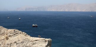 Іранці намагались вкрасти морський дрон США в Ормузі й втратили два човни