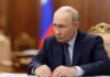 Сенатор Тиллис заявил, что Путин не хочет мира перед зимой