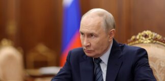 Сенатор Тиллис заявил, что Путин не хочет мира перед зимой
