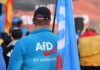 Ультраправа AfD лидирует на выборах в Германии: победа может стоить Мерцу должности