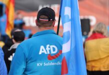 Ультраправа AfD лидирует на выборах в Германии: победа может стоить Мерцу должности