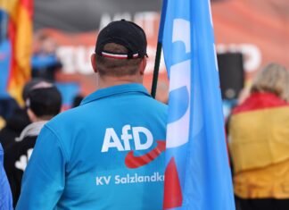 Ультраправа AfD лидирует на выборах в Германии: победа может стоить Мерцу должности