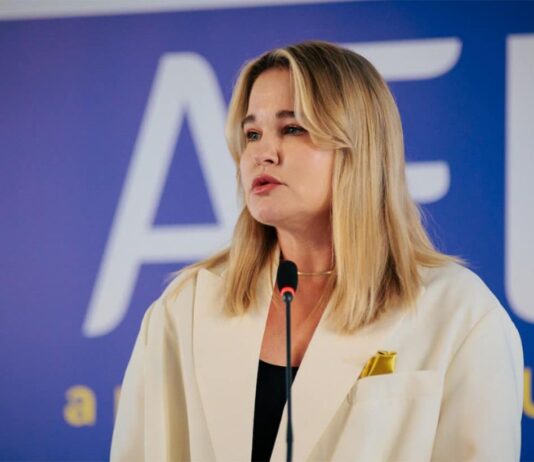 Украина меняет запросы на оружие: Гетьманчук назвала главные направления