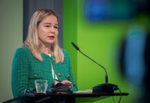 Украина может заменить некоторые американские возможности в НАТО, — Гетьманчук