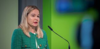 Украина может заменить некоторые американские возможности в НАТО, — Гетьманчук