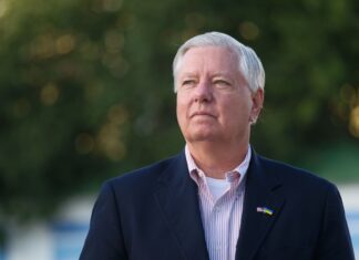 Сенатор Тиллис сказал, что изменится для Украины в случае победы демократов на выборах в США