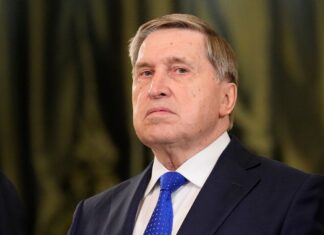 У Путина раскрыли детали переговоров с Уиткоффом и Кушнером в Москве