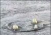 Мешканці Маріуполя скаржаться на тижневий витік води на Новоселівці