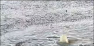 Мешканці Маріуполя скаржаться на тижневий витік води на Новоселівці