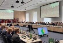 «Заклики мають втілити у кроки». ОБСЄ провело засідання щодо гуманітарної катастрофи в Олешках