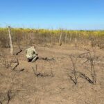 Молдова викликала посла РФ після дронів, а в Кишиневі другий день поспіль евакуювали аеропорт
