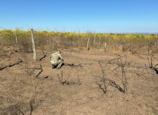 Молдова викликала посла РФ після дронів, а в Кишиневі другий день поспіль евакуювали аеропорт