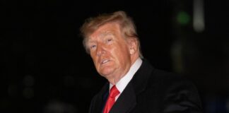 «Всі розуміють, що це через Ормуз». Зеленський озвучив Трампу меседж про дизель і вибори