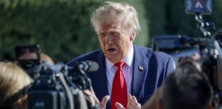 «Досягаємо значного прогресу»: Трамп анонсував зустріч Зеленського з Путіним