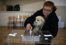 Явка 22%. Болгарія на роздоріжжі – чи отримає Росія нового союзника в ЄС
