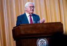 Штайнмаєр закликав Китай вплинути на Росію задля миру в Україні