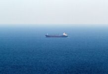 Болгария присоединится к инициативе НАТО по противодействию дронам после атак на суда в Черном море