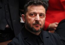 Зеленский и Эрдоган обсудили привлечение Анкары к переговорам и встречу в Турции